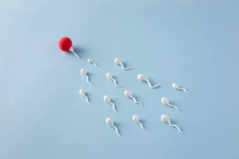 Factores clave para una implantacion embrionaria exitosa