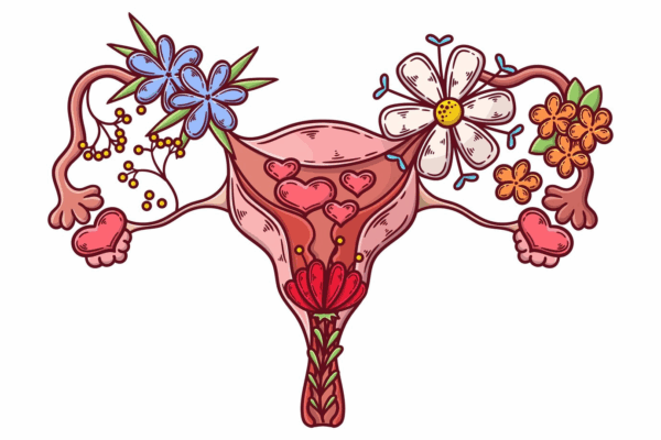 Reserva ovárica: La clave para entender tu fertilidad y planificar el futuro Reserva ovárica en Jacksonville